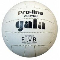 Мяч волейбольный GALA